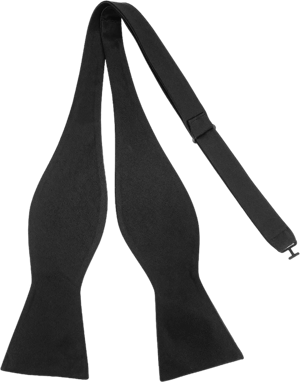 Pensee Men's Jacquard Woven Silk Bow Ties