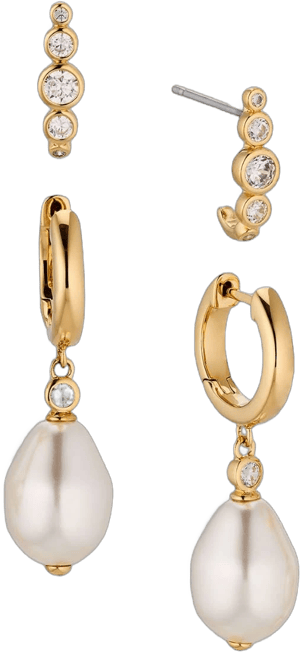 NADRI Siren 18K Gold Plated Cubic Zirconia Hoop Earrings Set of 2