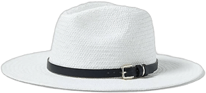 Ann Taylor Women's Belted Straw Hat