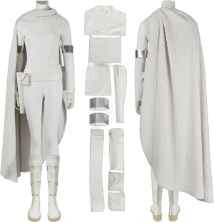 Attack of The Clones Edition Padme Amidala Cosplay Costume