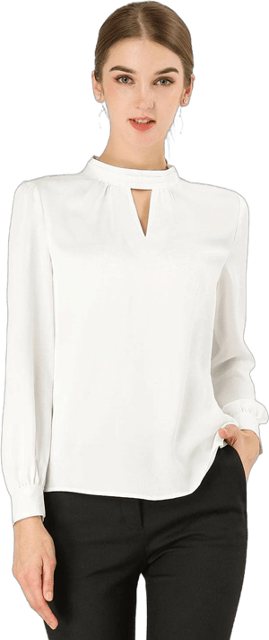 Women's Allegra K Keyhole Elegant Stand Collar Long Sleeve Chiffon Office Blouse