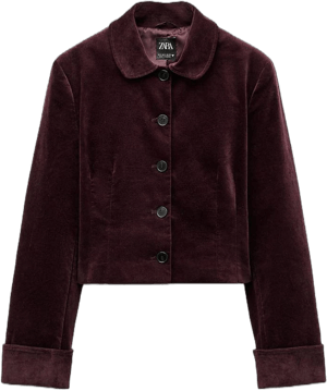 Zara Women's Cropped Velvet Jacket