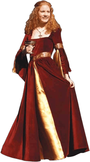 Medieval Princess Velvet Gown