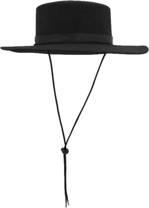 Nicky Bigs Novelties Spanish Wide Brim Felt Hat