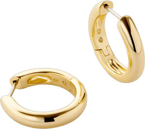 Ana Luisa Gold Hoop Earrings