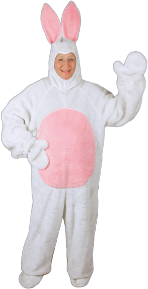 Christmas Central 4 Piece Easter Bunny Suit with Hood