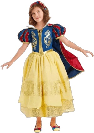 THE DISNEY STORE PARKS Snow White Deluxe Designer Costume Dress Halloween