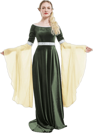 Renaissance Velvet Gown