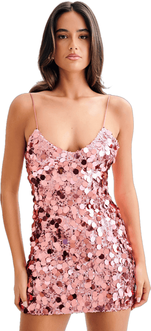 MESHKI Romilly Sequin Mini Dress