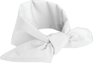 Chef Designs Unisex Neckerchief