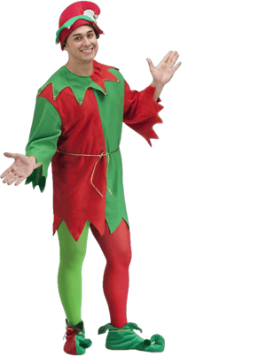 Spirit Halloween Elegant Elf Costume Set