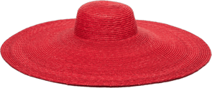 Women's San Diego Hat Wide Brim Straw Sun Hat