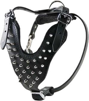 Spiked Leather Dog Harness | Exclusively large dog harnesses Extra Large / Black