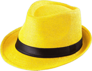 Straw Fedora Hat