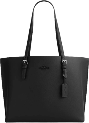 COACH Mollie Tote Bag Women's