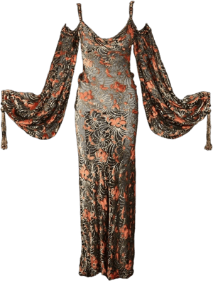 Cher Bob Mackie Richard Avedon Velvet Gown