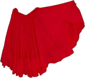 Nuestratradicionmex Folkloric Mexican Dance Skirts for Women. Falda Folklorico Mexicana