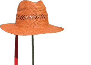 Straw Hat