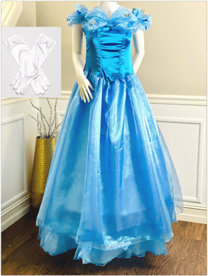 Cinderella Dress