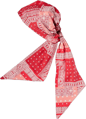 Red Bandana Scarf