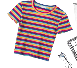 Rainbow Stripe Crop Top