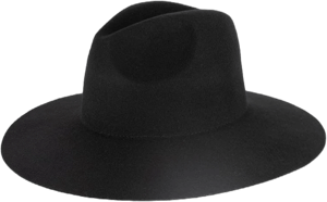 Scottie Wide Brim Fedora