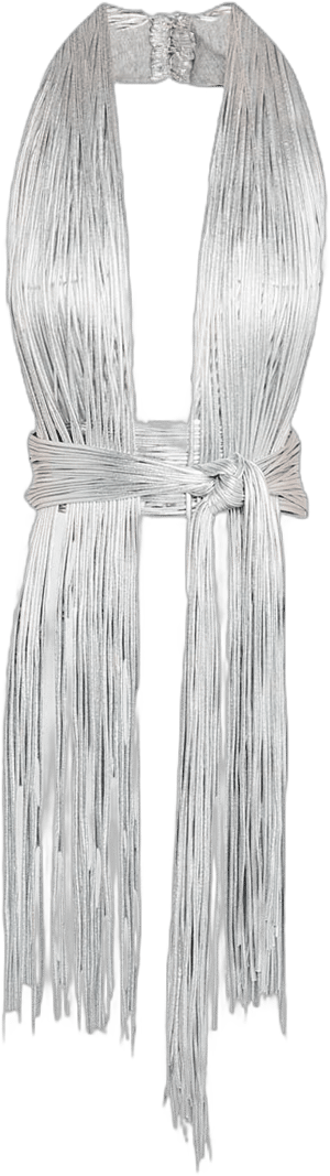 Women's Metallic Fringe Knotted Halter Neck Crop Top