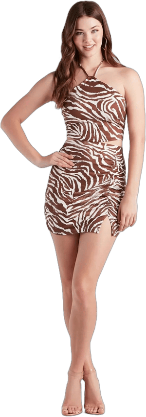 Windsor Wild Style Zebra Print Mini Skirt