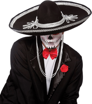 Wicked Costumes Mexican Sombrero Hat