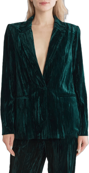 WAYF Women's Textured Velvet Blazer