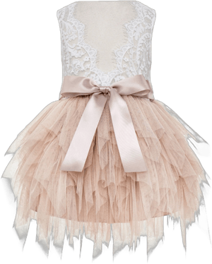 Junior Bridesmaid Lace Back Tiered Tulle Flower Girl Dress