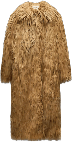 Zara Women's Faux Fur Long Coat