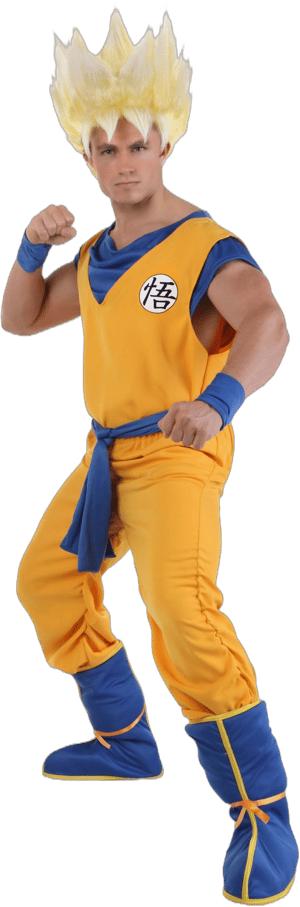 Dragon Ball Z Super Saiyan Goku Costume