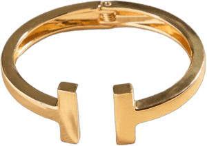 Altar'd State Chunky Hinged Bangle