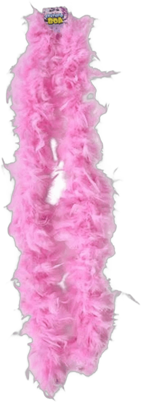 Feather Boas for Girls