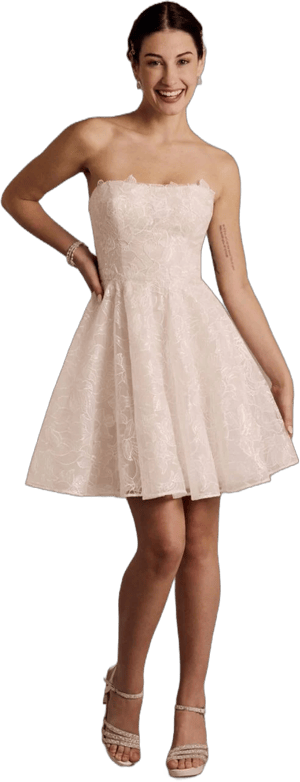 DB Studio Lace A-Line Mini Dress