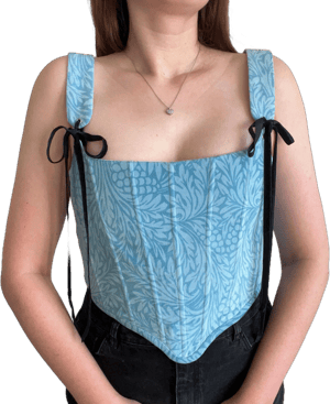 Renaissance Velvet Corset Top