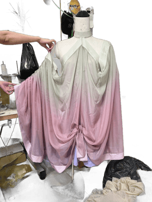 Star Wars Amidala Lake Dress