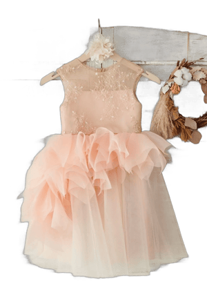 Lace Tulle Organza Ruffle Flower Girl Dress