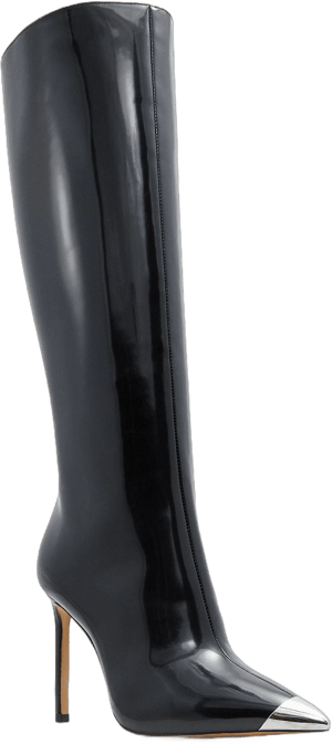 ALDO Women's Agathea Pointed-Toe Stiletto Knee High Boots