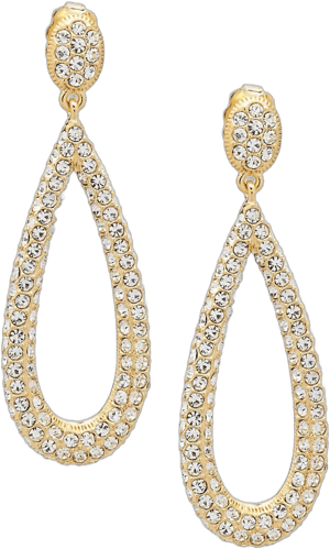 Adriana Orsini Women's Crystal Drop Earrings