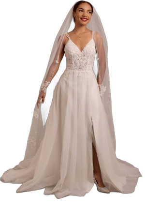 David's Bridal Beaded Tulle Wedding Dress