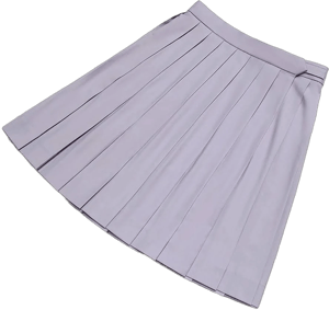 Pleated Skirt