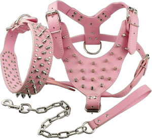 Spiked Studded Leather Dog Harness