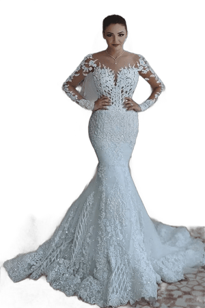 Beaded Lace Mermaid Wedding Dress with Sleeves