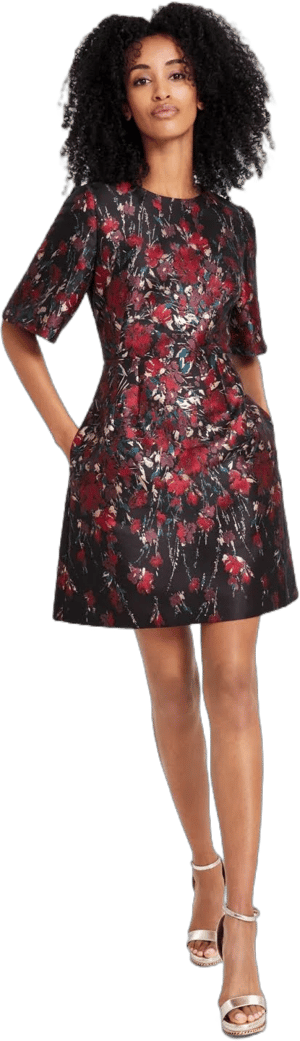 Vince Camuto Women's Floral Jacquard Fit & Flare Dress