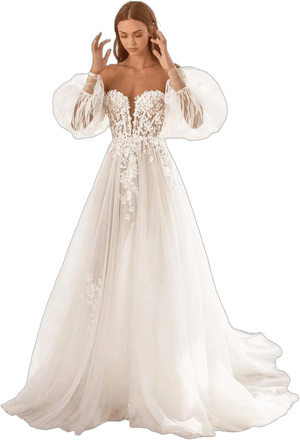 Lace Applique Tulle Wedding Dress