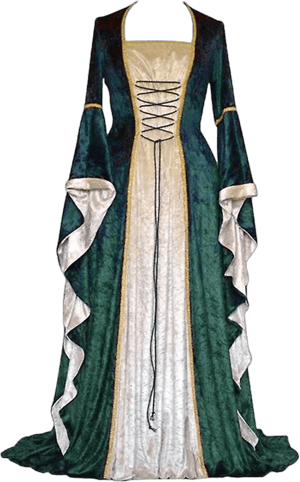 Vintage Victorian Velvet Medieval Court Princess Dress