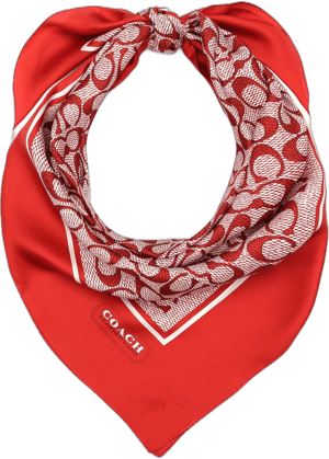 Coach Textured Signature C Printed Silk Square Scarf Women's