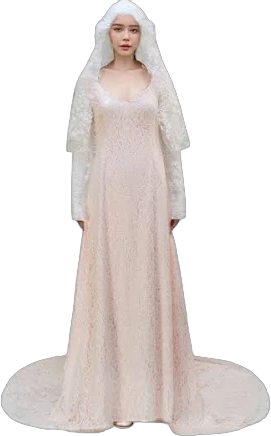 Padme Amidala Wedding Dress Star Wars Padme Dress Women Halloween Suit ACcosplay, 3XL / Women